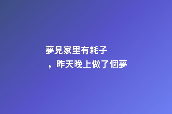夢見家里有耗子，昨天晚上做了個夢